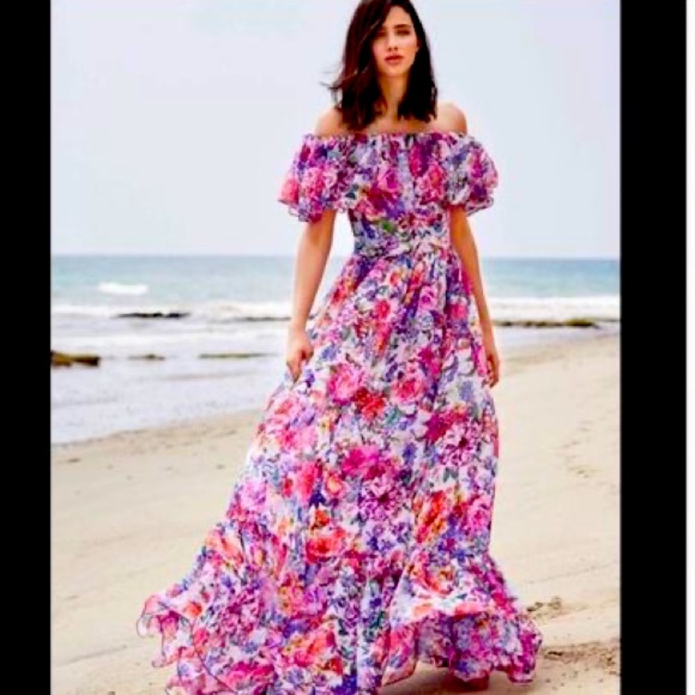 Paola Floral Print Maxi Dress by Tadashi Shoji in a size 6.